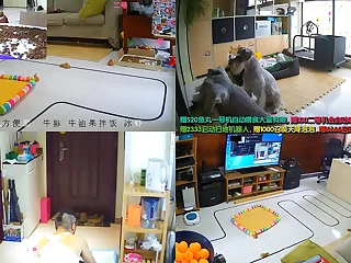 chinese reside